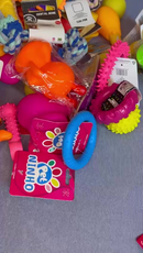 Kit 10 Mordedores Pet para Cachorros Pequenos e Médios-Brinquedos com Franguinho 16cm