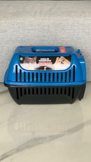 A caixa de transporte é resistente e ideal para passeios, viagens ou visitas ao veterinário.