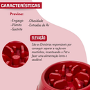 Comedouro Educativo Lento Para Cachorro Gato Antistress Obesidade Engasgo