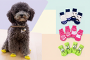 Meia Para Pets Cachorro e Gato Tamanho P M G KIT com 4 Peças