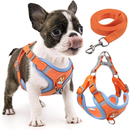 Coleira Peitoral para cachorro pequenos e médios com guia para pet colete confortável