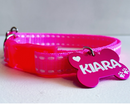Coleira para Cachorro com Plaquinha de Identificação Personalizada – Gravação a Laser