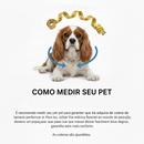 Coleira Rosa de Cachorro com Pingente Nome e Numero Personalizado B4