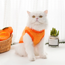 Roupa Fofa De Cachorro Quente De Outono E De Inverno