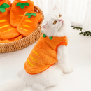 Roupa Fofa De Cachorro Quente De Outono E De Inverno