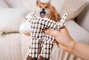 Brinquedo De Pelúcia Para Mastigar Cachorro – Interativo Animais De Estimação Que Faz Barulho Limpeza , Morder E Entrete